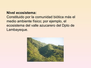 Nivel ecosistema: Constituido por la comunidad biótica más el medio ambiente físico; por ejemplo, el ecosistema del valle azucarero del Dpto de Lambayeque. 