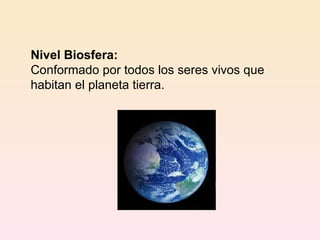 Nivel Biosfera: Conformado por todos los seres vivos que habitan el planeta tierra. 