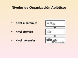 Niveles de Organización Abióticos Nivel subatómico Nivel atómico Nivel molecular 