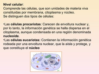 Nivel celular :  Comprende las células, que son unidades de materia viva constituidas por membrana, citoplasma y núcleo.  Se distinguen dos tipos de células:  Las  células procariotas : Carecen de envoltura nuclear y, por lo tanto, la información genética se halla dispersa en el citoplasma, aunque condensada en una región denominada  nucleoide .  Las  células eucariotas:  Contienen la información genética rodeada por una envoltura nuclear, que la aísla y protege, y que constituye el  núcleo   