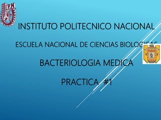 INSTITUTO POLITECNICO NACIONAL
ESCUELA NACIONAL DE CIENCIAS BIOLOGICAS
BACTERIOLOGIA MEDICA
PRACTICA #1
 