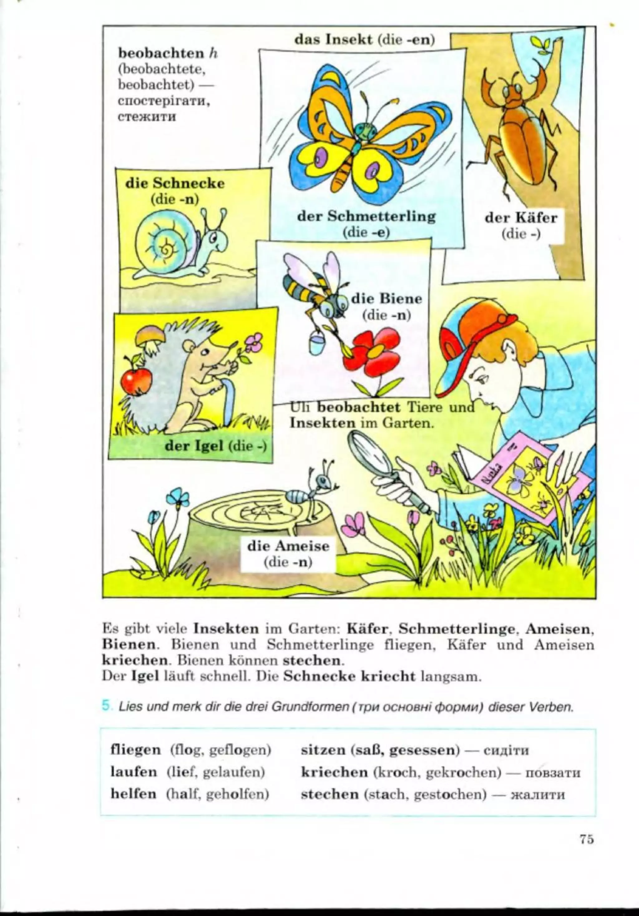 Slide 75