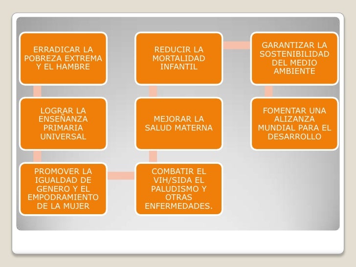 8 Objetivos De Desarrollo Del Milenio
