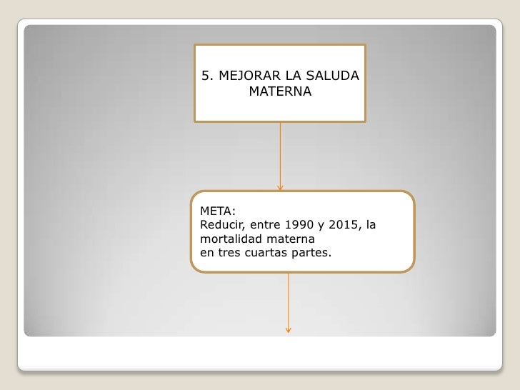 8 Objetivos De Desarrollo Del Milenio