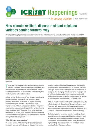 Newsletter
Happenings
In-house version 8 Oct 2021, No.1927
Three new chickpea varieties, with enhanced drought
tolerance, disease resistance and increased yield, are
set to become available to the Indian farmers. These
have been notified to be available for cultivation by the
Central Varietal Release Committee.
Calling for the deployment of ‘fast-forward breeding’, a
newly conceived framework that promises faster
delivery of varieties to farmers, Dr Rajeev Varshney,
Research Program Director – Accelerated Crop
Improvement, ICRISAT, who coordinated the integration
of genomics-assisted breeding activities for developing
these varieties, said, “Counting three other varieties
released in 2019 and 2020, genomics-assisted breeding
has delivered six high-yielding chickpea varieties in India
during the last three years.”
Why chickpea improvement?
Dr Arvind Kumar, ICRISAT’s Deputy Director General-
Research, pointed to the threat of drought in chickpea-
New climate-resilient, disease-resistant chickpea
varieties coming farmers’ way
Developed through genomics-assisted breeding by the Indian Council of Agricultural Research (ICAR) and ICRISAT
growing regions of India while explaining the need for
sustained and continued research to improve the crop.
“Drought alone causes up to 60% annual yield losses in
chickpea. The changing climate warrants development
of cultivars that can attain their maximum potential
under drought stress in rainfed environments as well as
in disease-prone environments,” Dr Kumar said.
ICRISAT, in collaboration with ICAR, has been leading the
efforts for genetic dissection of drought tolerance and
Fusarium wilt resistance in chickpea using the most
advanced sequencing and genotyping technologies at its
Center of Excellence in Genomics & Systems Biology.
Collectively called genomics-assisted breeding, these
approaches are being deployed by ICAR institutes such
as ICAR-IIPR, ICAR-IARI and several state agricultural
universities, in collaboration with ICRISAT, to develop
high-yielding, disease-resistant and nutrition-dense
varieties faster than ever before.
File photo.
Photo: ICRISAT
 