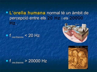 

L’orella humana normal té un àmbit de
percepció entre els 20 Hz i els 20000
Hz .



f ones infrasonores < 20 Hz



f ones ultrasonores > 20000 Hz

 