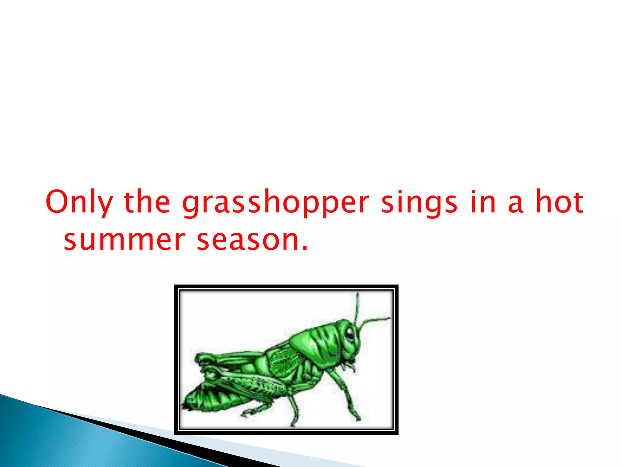 Only the grasshopper sings in a hot
summer season.