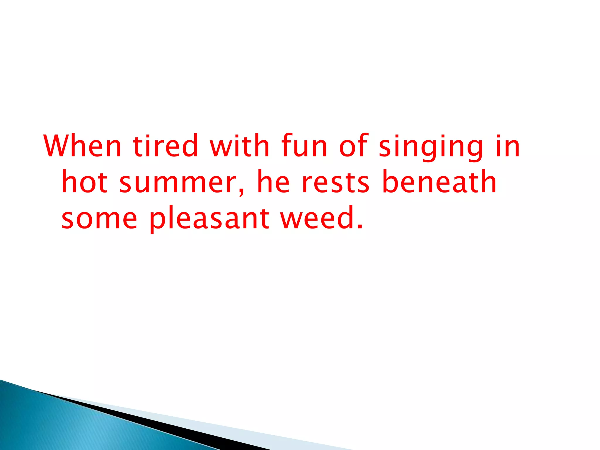 When tired with fun of singing in
hot summer, he rests beneath
some pleasant weed.