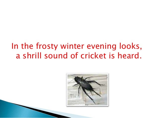 on the grasshopper and cricket Fireflies by owl city lyrics and finally, to your clouded, wounded heart, even a true bell cricket will seem like a grasshopper should that day come. on the grasshopper and cricket Fireflies by owl city lyrics and finally, to your clouded, wounded heart, even a true bell cricket will seem like a grasshopper should that day come.
