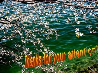 Thanks for your attention! 