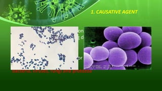 1. CAUSATIVE AGENT
The causative agent for infection is any micro
organism capable of producing disease
Micro organisms responsible for infectious
disease include
bacteria, viruses, fungi and protozoa
 