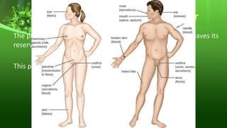 3. PORTAL OF EXIT
The portal of exit is the path by which an infectious agent leaves its
reservoir
This portal is where the micro organism grows
 