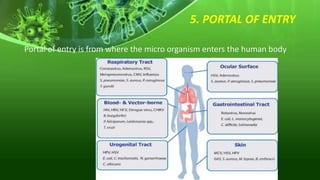 5. PORTAL OF ENTRY
Portal of entry is from where the micro organism enters the human body
 