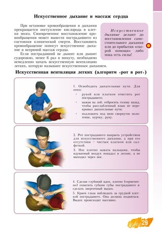 29
Искусственное дыхание и массаж сердца
При остановке кровообращения и дыхания
прекращается поступление кислорода в клет-
ки мозга.  Своевременное восстановление кро-
вообращения может вывести пострадавшего из
состояния клинической смерти.  Восстановить
кровообращение помогут искусственное дыха-
ние и непрямой массаж сердца.
Если пострадавший не дышит или дышит
судорожно, менее 6 раз в минуту, необходимо
немедленно начать искусственную вентиляцию
легких, которую называют искусственным дыханием.
Искусственная вентиляция легких (алгоритм «рот в рот»)
1.  Освободить дыхательные пути.  Для
этого:
•
	
рукой или платком очистить рот
пострадашего;
•
	
нажав на лоб, отбросить голову назад,
чтобы расслабленный язык не пере-
крывал дыхательные пути;
•
	
подложить под шею свернутое поло-
тенце, куртку, руку.
2.  Рот пострадашего накрыть устройством
для искусственного дыхания, а при его
отсутствии – чистым платком или сал-
феткой.
3.  Нос плотно зажать пальцами, чтобы
вдуваемый воздух попадал в легкие, а не
выходил через нос.
4.  Сделав глубокий вдох, плотно (герметич-
но) охватить губами губы пострадашего и
сделать энергичный выдох.
5. Краем глаза наблюдать за грудной клет-
кой пострадашего.  Она должна подняться.
Выдох происходит пассивно.
Ис кусс т ве нн о е
дыхание делают до
восстановления само-
стоятельного дыхания
или до прибытия «ско-
рой помощи» либо
пока есть силы!
 