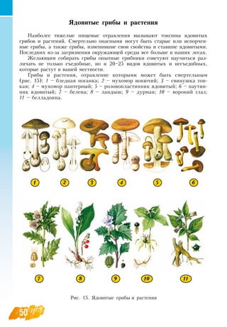 50
Ядовитые грибы и растения
Наиболее тяжелые пищевые отравления вызывают токсины ядовитых
грибов и растений.  Смертельно опасными могут быть старые или испорчен-
ные грибы, а также грибы, изменившие свои свойства и ставшие ядовитыми.
Последних из-за загрязнения окружающей среды все больше в наших лесах.
Желающим собирать грибы опытные грибники советуют научиться раз-
личать не только съедобные, но и 20–25 видов ядовитых и несъедобных,
которые растут в вашей местности.
Грибы и растения, отравление которыми может быть смертельным
  
(рис. 15): 1 – бледная поганка; 2 – мухомор вонючий; 3 – свинушка тон-
кая; 4 – мухомор пантерный; 5 – розовопластинник ядовитый; 6 – паутин-
ник ядовитый; 7 – белена; 8 – ландыш; 9 – дурман; 10 – вороний глаз;
11 – белладонна.
Рис. 15.  Ядовитые грибы и растения
1 2 3 4 5 6
7 8 9 10 11
 