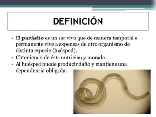 DEFINICIÓN
• El parásito es un ser vivo que de manera temporal o
permanente vive a expensas de otro organismo de
distinta especie (huésped).
• Obteniendo de éste nutrición y morada.
• Al huésped puede producir daño y mantiene una
dependencia obligada.
 