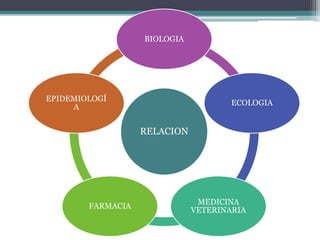RELACION
BIOLOGIA
ECOLOGIA
MEDICINA
VETERINARIA
FARMACIA
EPIDEMIOLOGÍ
A
 