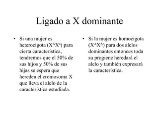 Ligado a X dominante
• Si una mujer es
heterocigota (XAXa) para
cierta característica,
tendremos que el 50% de
sus hijos y 50% de sus
hijas se espera que
hereden el cromosoma X
que lleva el alelo de la
característica estudiada.
• Si la mujer es homocigota
(XAXA) para dos alelos
dominantes entonces toda
su progiene heredará el
alelo y también expresará
la característica.
 