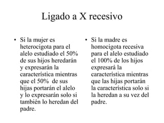 Ligado a X recesivo
• Si la mujer es
heterocigota para el
alelo estudiado el 50%
de sus hijos heredarán
y expresarán la
característica mientras
que el 50% de sus
hijas portarán el alelo
y lo expresarán solo si
también lo heredan del
padre.
• Si la madre es
homocigota recesiva
para el alelo estudiado
el 100% de los hijos
expresará la
característica mientras
que las hijas portarán
la característica solo si
la heredan a su vez del
padre.
 