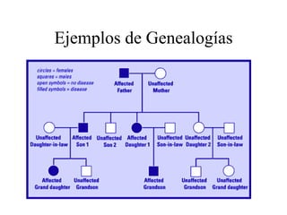 Ejemplos de Genealogías
 