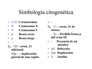 Simbología citogenética
• 1-22 # cromosomas
• X Cromosoma X
• Y Cromosoma Y
• p Brazo corto
• q Brazo largo
• +
Ej. +21 --crom. 21
adicional.
13p+ -- duplicación
parcial de una región.
• -
Ej. -21 --crom. 21 de
menos.
5p- --Perdida brazo p
del crom #5.
• / Presencia de un
mosaico.
• del Delección
• dup Duplicación
• S Satélite
 