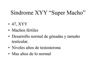 Síndrome XYY “Super Macho”
• 47, XYY
• Machos fértiles
• Desarrollo normal de gónadas y tamaño
testicular.
• Niveles altos de testosterona
• Mas altos de lo normal
 
