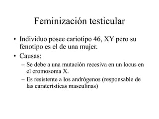 Feminización testicular
• Individuo posee cariotipo 46, XY pero su
fenotipo es el de una mujer.
• Causas:
– Se debe a una mutación recesiva en un locus en
el cromosoma X.
– Es resistente a los andrógenos (responsable de
las caraterísticas masculinas)
 