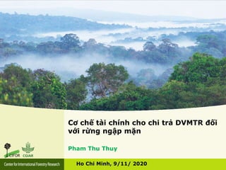Cơ chế tài chính cho chi trả DVMTR đối
với rừng ngập mặn
Ho Chi Minh, 9/11/ 2020
Pham Thu Thuy
 