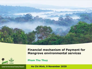 Financial mechanism of Payment for
Mangrove environmental services
Ho Chi Minh, 9 November 2020
Pham Thu Thuy
 
