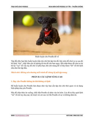 TRẠI CHÓ LOVE POODLE MUA BÁN CHÓ POODLE UY TÍN – THUẦN CHỦNG
WEB: YEUPOOODLE.COM HOTLINE: 0963 055 592
Huấn luyện cho Poodle đổ về
Tập đến đây bạn hãy huấn luyện tiếp cho chó bài tập tìm đồ, hãy ném đồ chơi ra xa sau đó
hô lệnh “tìm”, chắc hẳn chó sẽ phóng đi tìm đồ cho bạn ngay. Khi nhặt được đồ chơi ta lại
hô lại ”Lại” rồi vẫy tay để chó về phía bạn, khi chó mang đồ về hãy khen “tốt” rồi hô lệnh
nhả như bài tập đâu.
Mách nhỏ: Không nên thưởng mồi tránh để chúng bị mất tập trung.
PHẦN II: CÁC LỆNH NÂNG CAO
1. Dạy cho Poodle không ăn khi không có lệnh
Để huấn luyện cho Poodle làm được như vậy bạn cần tập cho chó thói quen và sử dụng
biện pháp doạ yêu Poodle.
Hãy để chậu thức ăn xuống, chắc hắn Poodle sẽ nhào vào ăn luôn. Lúc đó ta hãy quát lệnh
“im” rồi dơ tay doạ nạt, tát trượt vài cái sau vài lần Poodle sẽ sợ và không dám ăn.
 