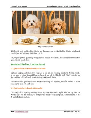 TRẠI CHÓ LOVE POODLE MUA BÁN CHÓ POODLE UY TÍN – THUẦN CHỦNG
WEB: YEUPOOODLE.COM HOTLINE: 0963 055 592
Dạy cho Poodle ăn
Khi Poodle ngồi im bên chậu thức ăn sau đó muốn cho ăn hãy để chậu thức ăn lại gần mũi
và hô lệnh “ăn” và đồng thời khen “giỏi”.
Hãy thực hiện thói quen này trong các bữa ăn của Poodle nhé. Poodle sẽ hình thành thói
quen này rất nhanh thôi.
Xem thêm: Một số lưu ý khi tắm cho chó
2. Lệnh huấn luyện Poodle sủa khi có lệnh
Để huấn luyện poodle làm được việc này ta cần trói lại, rồi dùng mồi thơm để nhử. Poodle
sẽ tức giận vì có đồ ăn mà không ăn được sẽ sủa inh ỏi. Hãy hô lệnh “Sủa” chó vẫn sủa
theo ta khen “tốt”, rồi vuốt ve và thưởng Poodle mồi thơm.
Hình thành thói quen lệnh “sủa” khi Poodle đang sủa bạn nhé, lâu dần Poodle sẽ thành
phản xạ và quen với lệnh này.
3. Lệnh huấn luyện Poodle đi theo chủ
Đeo vòng cổ và thắt dây khoảng 50cm, hãy thực hiện lệnh “Ngồi” như bài tập đầu, khi
Poodle ngồi chủ dắt nhẹ dây và hô lệnh “đi” Poodle sẽ đi cùng bạn. Tất nhiên chó có thể
đi trước hoặc đi sau bạn.
 