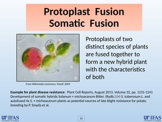 Power Point Presentation on Plant-Genetic-Engineering.pptx