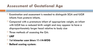 Sga Assessment Algorithm Brief presentation of prematurity by Dr Abdullah | PPTX