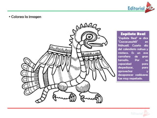 8 principales lenguas de mexico | PDF