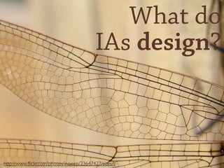 What do
                                           IAs design?



http://www.ﬂickr.com/photos/inajeep/23647427/sizes/l/
 