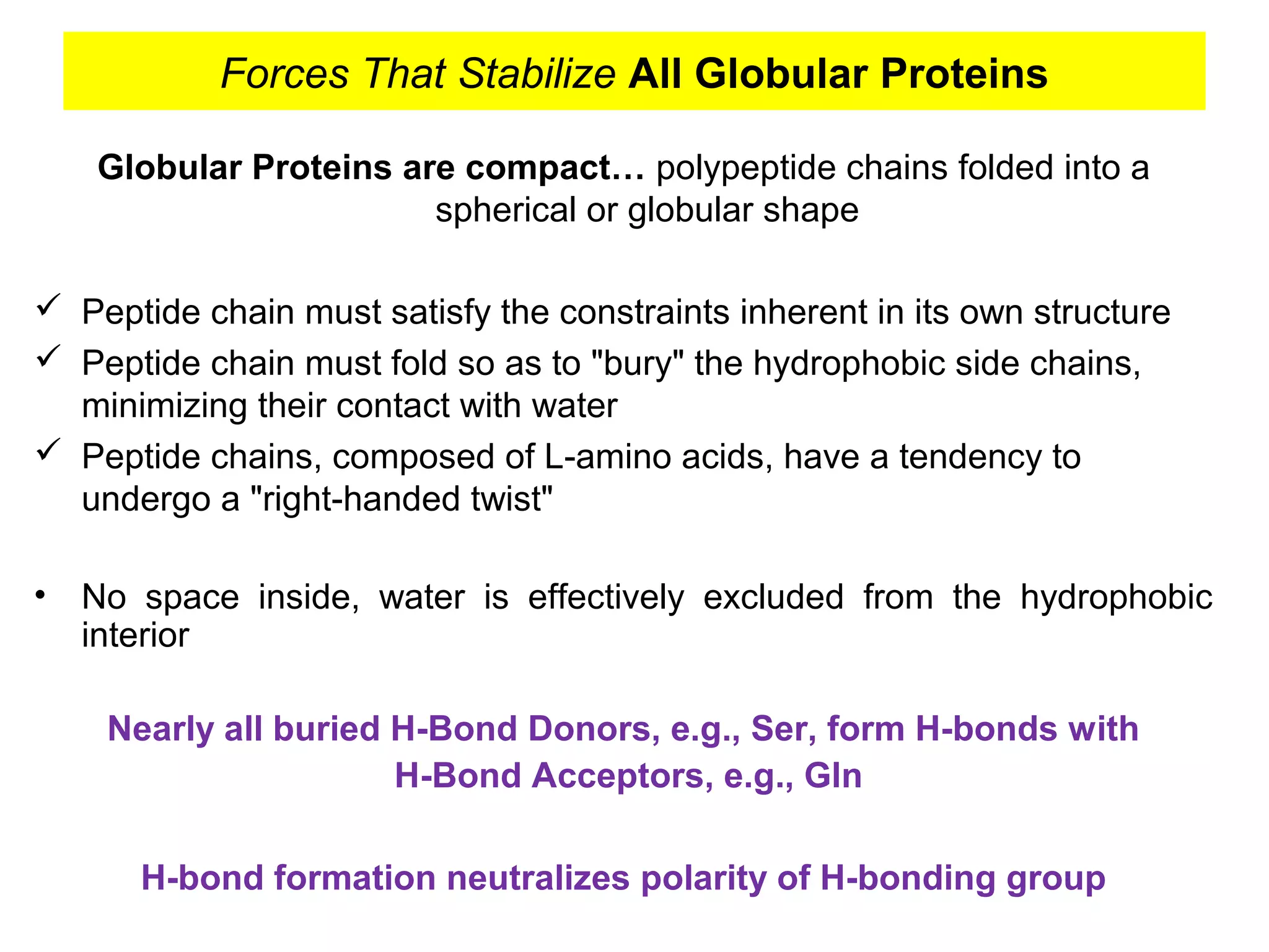 Forces That Stabilize All Globular Proteins
Globular Proteins are compact… polypeptide chains folded into a
spherical or globular shape
 Peptide chain must satisfy the constraints inherent in its own structure
 Peptide chain must fold so as to "bury" the hydrophobic side chains,
minimizing their contact with water
 Peptide chains, composed of L-amino acids, have a tendency to
undergo a "right-handed twist"
• No space inside, water is effectively excluded from the hydrophobic
interior
Nearly all buried H-Bond Donors, e.g., Ser, form H-bonds with
H-Bond Acceptors, e.g., Gln
H-bond formation neutralizes polarity of H-bonding group
 