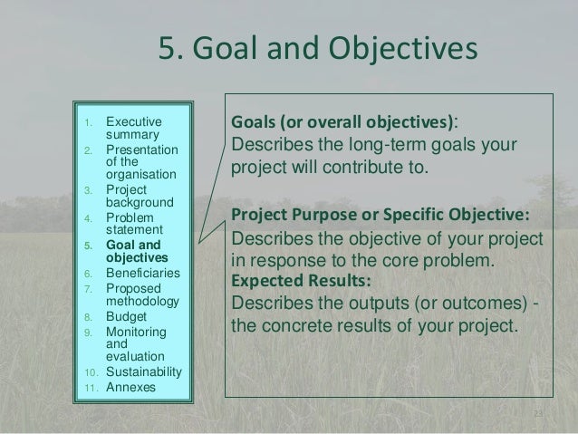 10 project proposal writing