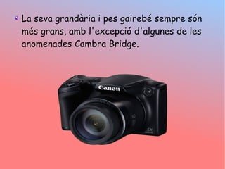 La seva grandria i pes gaireb sempre sn
ms grans, amb l'excepci d'algunes de les
anomenades Cambra Bridge.
 