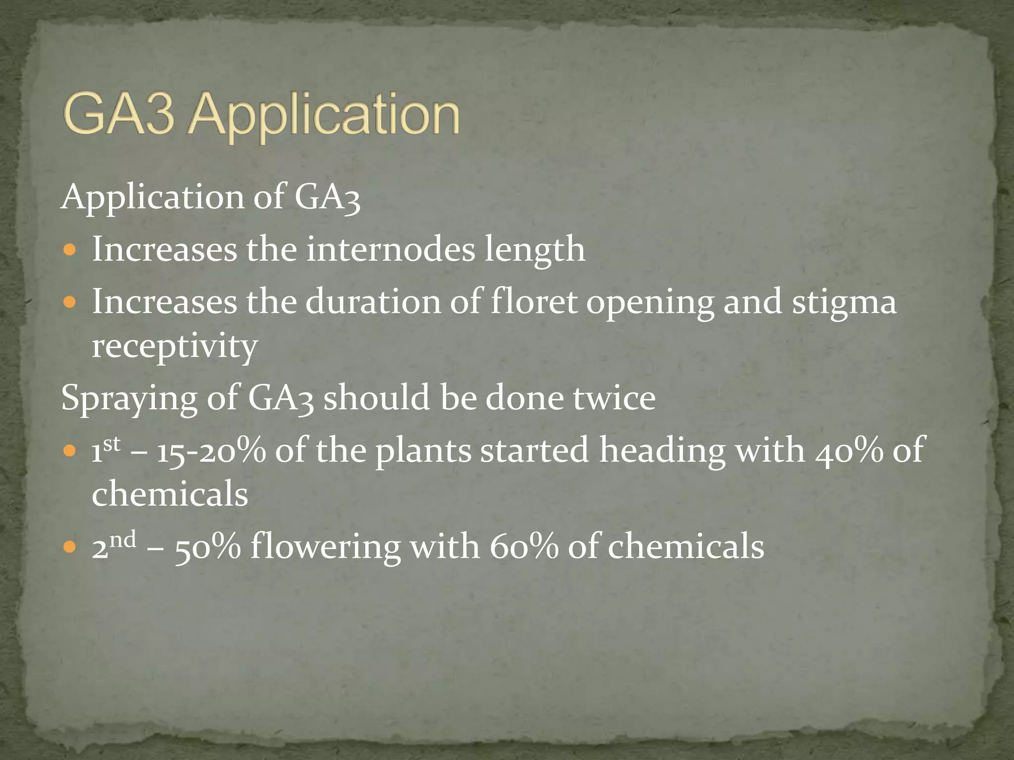 Application of GA3
 Increases the internodes length
 Increases the duration of floret opening and stigma
receptivity
Spraying of GA3 should be done twice
 1st – 15-20% of the plants started heading with 40% of
chemicals
 2nd – 50% flowering with 60% of chemicals
 