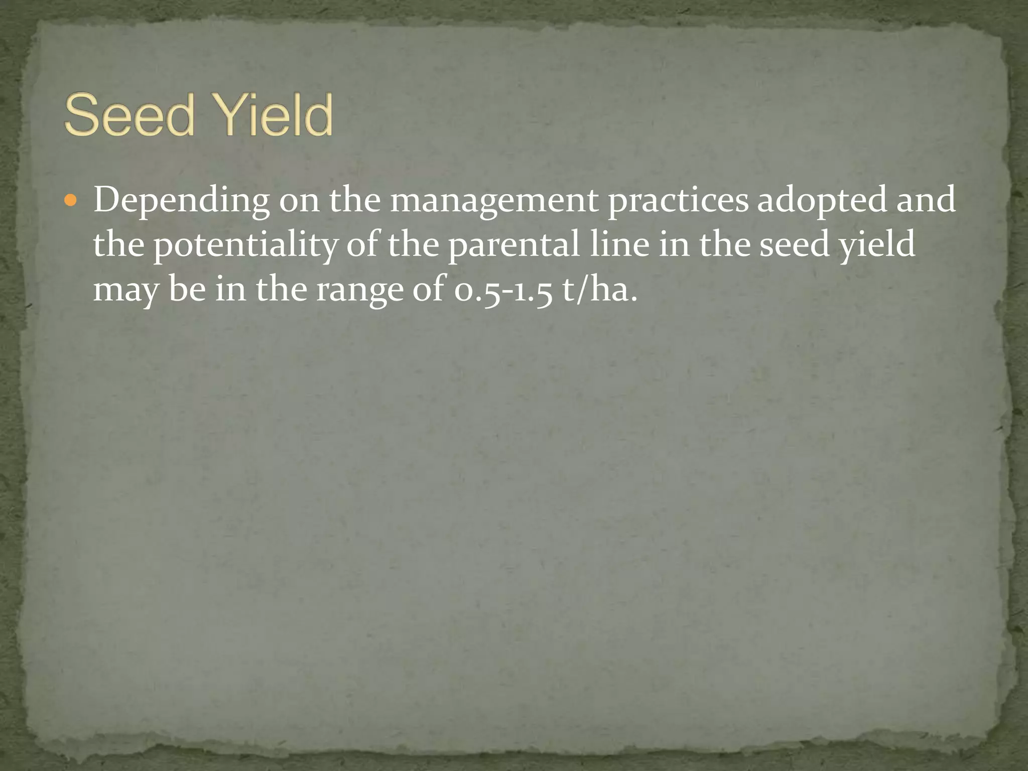  Depending on the management practices adopted and
the potentiality of the parental line in the seed yield
may be in the range of 0.5-1.5 t/ha.
 