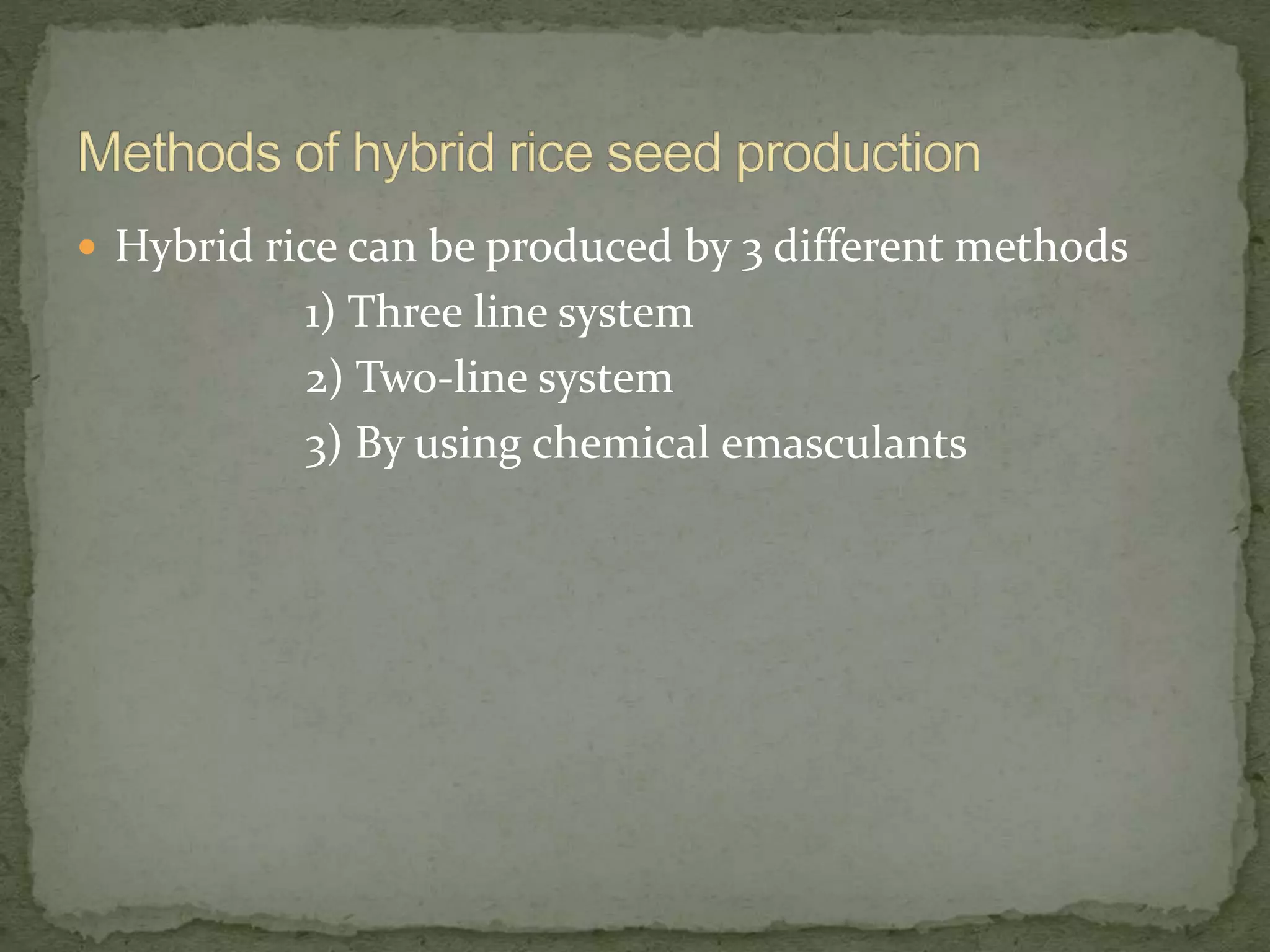  Hybrid rice can be produced by 3 different methods
1) Three line system
2) Two-line system
3) By using chemical emasculants
 