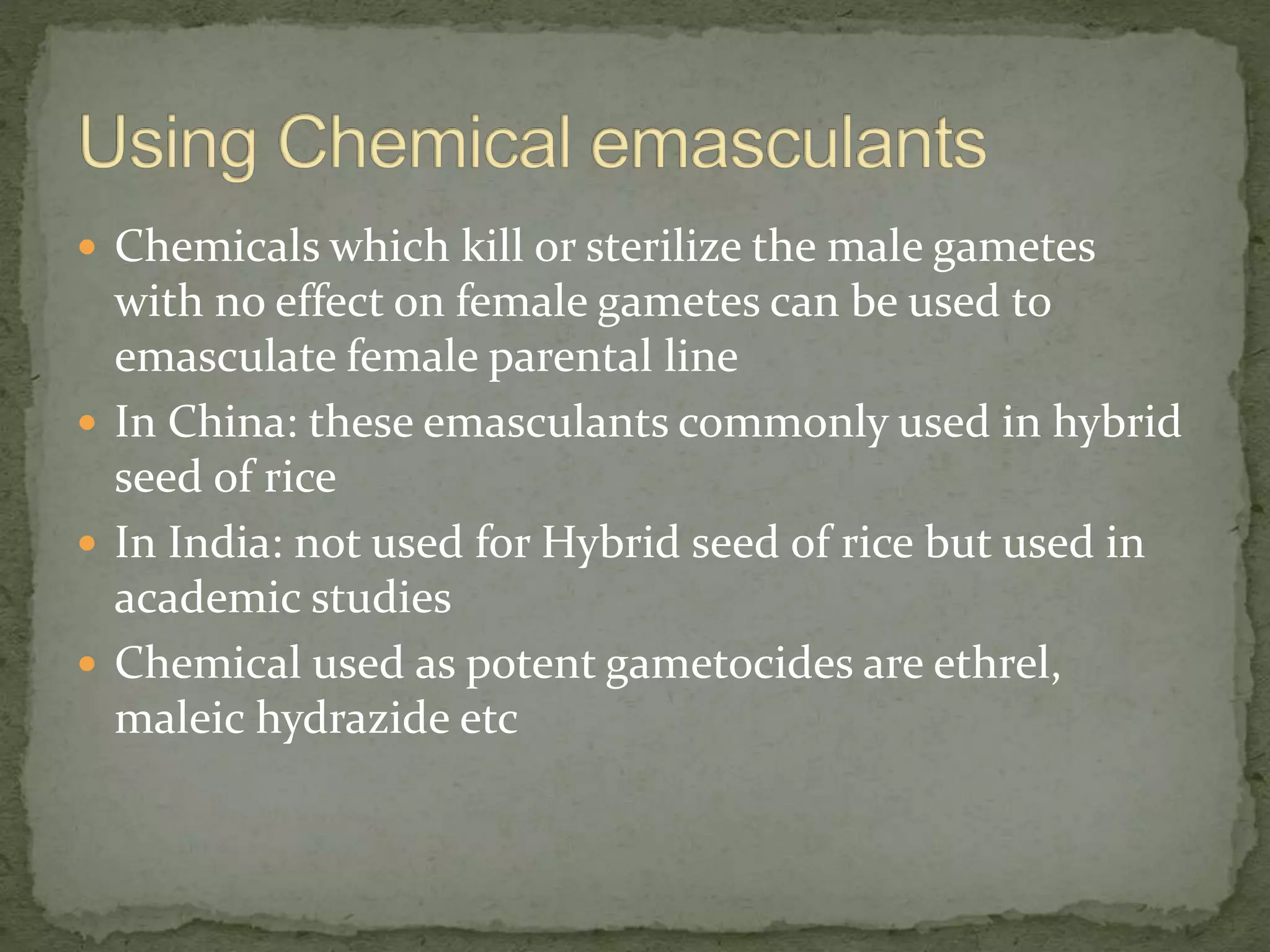  Chemicals which kill or sterilize the male gametes
with no effect on female gametes can be used to
emasculate female parental line
 In China: these emasculants commonly used in hybrid
seed of rice
 In India: not used for Hybrid seed of rice but used in
academic studies
 Chemical used as potent gametocides are ethrel,
maleic hydrazide etc
 