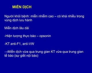MIỄN DỊCH
Ngƣời khỏi bệnh: miễn nhiễm cao – có khá nhiều trong
vùng dịch lƣu hành
Miễn dịch lâu dài
-Hiện tƣợng thực bào – opsonin
-KT anti-F1, anti-VW
→Miễn dịch vừa qua trung gian KT vừa qua trung gian
tế bào (sự giết nội bào)
 