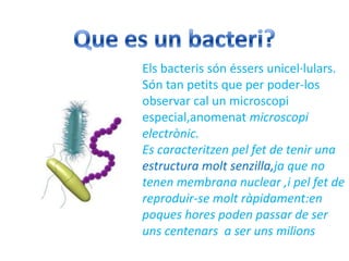 Els bacteris són éssers unicel·lulars.
Són tan petits que per poder-los
observar cal un microscopi
especial,anomenat microscopi
electrònic.
Es caracteritzen pel fet de tenir una
estructura molt senzilla,ja que no
tenen membrana nuclear ,i pel fet de
reproduir-se molt ràpidament:en
poques hores poden passar de ser
uns centenars a ser uns milions
 