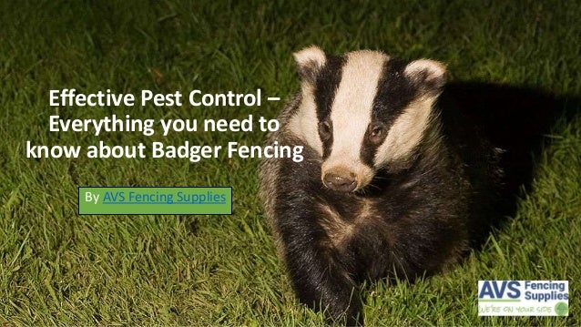 How to Use Badger Fencing as Effective Pest Control