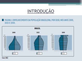 INTRODUÇÃO
 