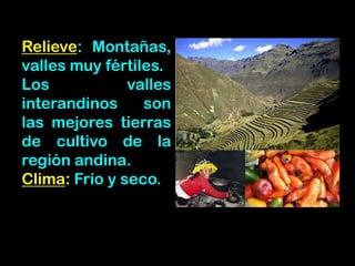 Relieve: Montañas,
valles muy fértiles.
Los valles
interandinos son
las mejores tierras
de cultivo de la
región andina.
Clima: Frío y seco.
 