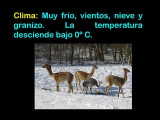Clima: Muy frío, vientos, nieve y
granizo. La temperatura
desciende bajo 0º C.
 