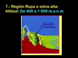 8 regiones | PPTX