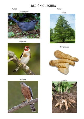 8 regiones | DOCX